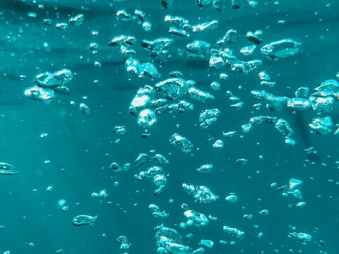 MrBeast's Controversial Comments on BLACKPINK: A Deep Dive into Divided Reactions