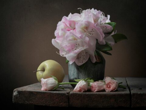 Understanding Snubs: The Subtle Art of Exclusion