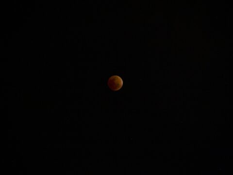 What to Expect During Today's 'Blood Moon' Total Lunar Eclipse