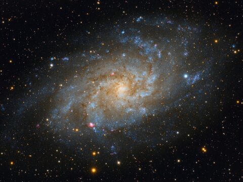 The Cosmic Giant: Challenging Our Understanding of Galaxy Formation in the Early Universe