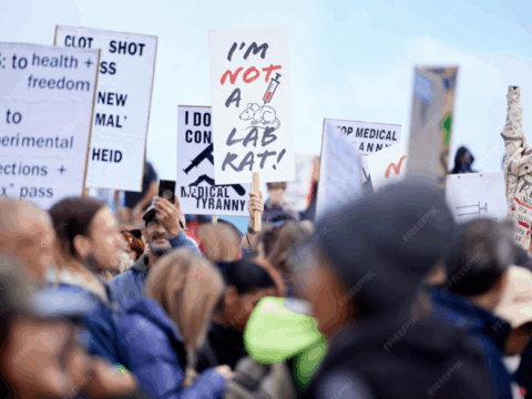 Understand Democracy and Its Real Impact