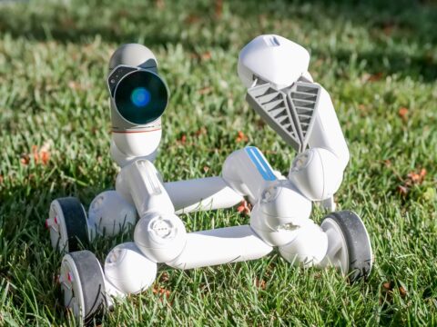 Use Artificial Intelligence for Passive Income