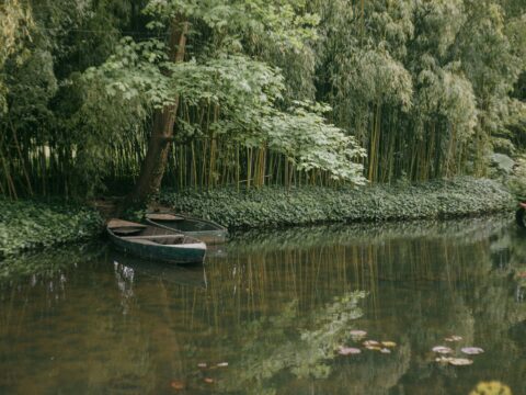 Use AI for YouTube Automation and Monetization