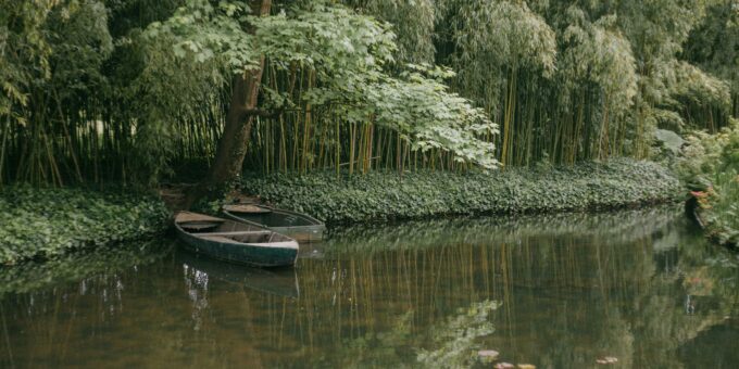 Use AI for YouTube Automation and Monetization