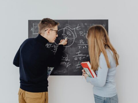 Understand the Role of Political Parties