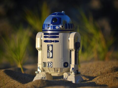 Build AI Chatbots for Customer Support (Easy Guide)